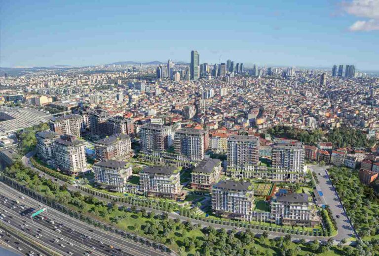 dap yeni levent turkish citizenship